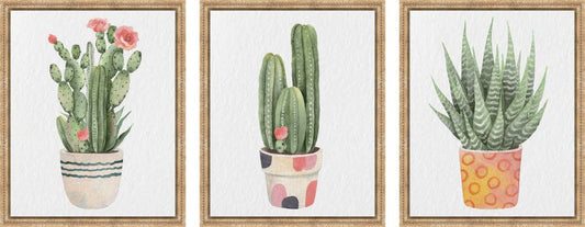 Cactus Dreams 9x11 Assorted Framed Wall Art - Set of 3